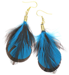 Chocolate and Turquoise Feather Earrings