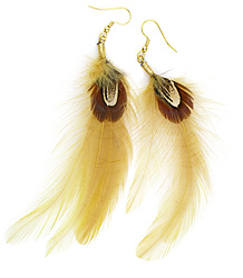 Gold and Brown Feather Earrings