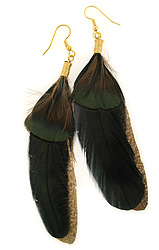 Rich Green Black Brown Feather Earrings