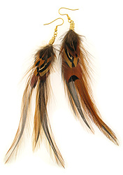 Ringneck Pheasant Feather Earrings