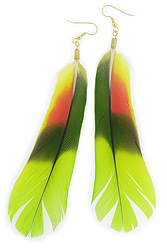 Amazon Parrot Feather Earrings