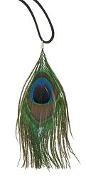 Peacock Eye Feather Necklace
