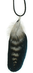 Black Feather Necklace with Stripes