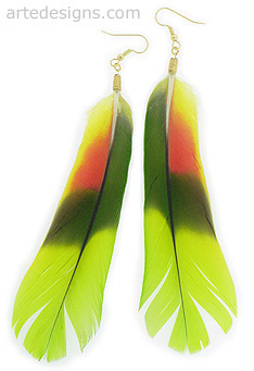 Amazon Parrot Feather Earrings
